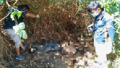 Photo of Mayat Pria Tua Membusuk Ditemukan di Semak-Semak