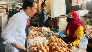 Photo of Jokowi: Peran Gubernur, Bupati dan Wali Kota Sangat Penting Jaga Stabilitas Harga Bahan Pokok di Pasar